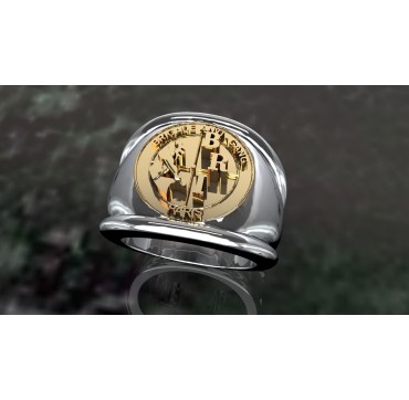 POLICE BRI PARIS - Argent massif + Insigne  or 9 carats - Autres Corporations