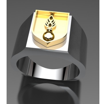 Gendarme Auxiliaire - Argent massif + Plateau or massif 18k - Armée de Terre