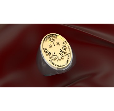 FRANC MACONS - Argent massif + Insigne  or 9 carats - Autres Corporations