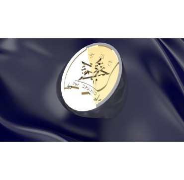 1ER SPAHIS EAC - Argent massif + Armée de TerrePlateau Or massif 9 carats 375/1000eme