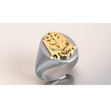 3EME RAMA - Argent massif + Plateau or massif 9 carats- Armée de Terre