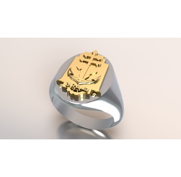 3EME RAMA - Argent massif + Plateau or massif 18 Carats - Armée de Terre