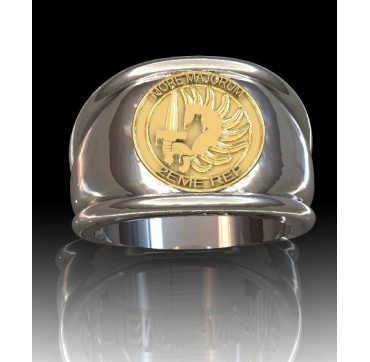 Légion étrangère 2eme REP - Argent massif + Plateau Or massif 9 carats 375/1000eme - Armée de Terre