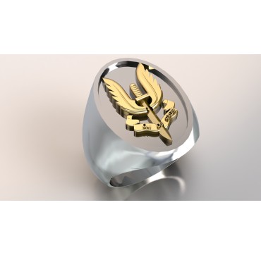 1er RPIMa - Argent massif + Plateau or massif 18 Carats - Armée de Terre