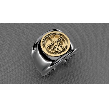 GIGN GUYANE Gendarmerie - Argent massif + Plateau or 18 carats - Armée de Terre