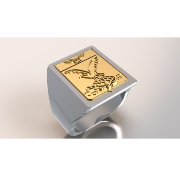 FLOTILLE 4F ARGENT ET OR 9 CARATS JAUNE