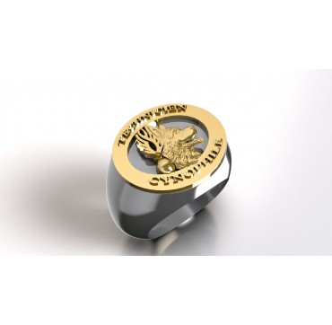 TECHNICIEN CYNOPHILE ARGENT ET OR 9 CARATS