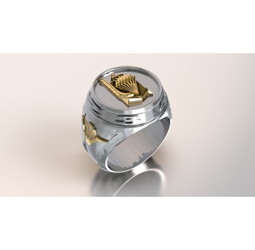 3EME RPIMa - Argent massif + Plateau or massif 18 Carats - Armée de Terre